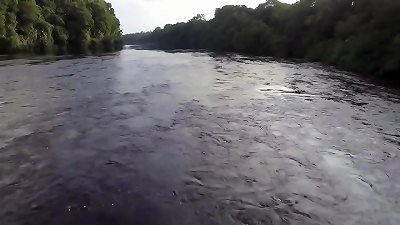 The Dragonfly, Part 4, aged Age, gig 2, The Amazon Rain woods